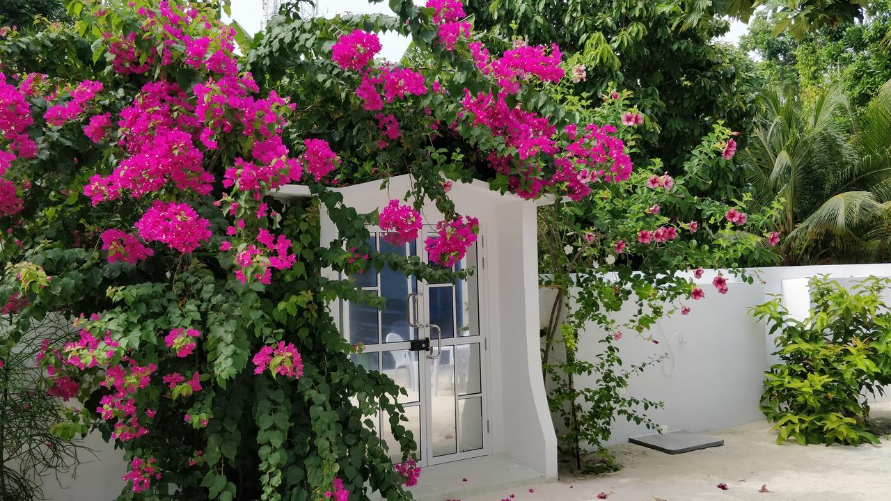 Hotel Athiriveli Thoddoo-Atoll Exterior foto