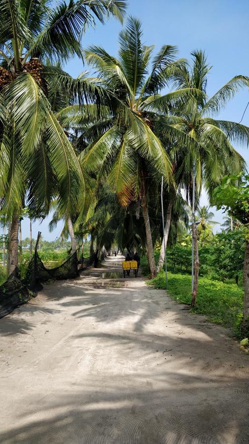 Hotel Athiriveli Thoddoo-Atoll Exterior foto
