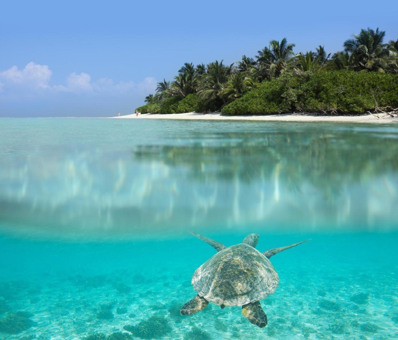 Hotel Athiriveli Thoddoo-Atoll Exterior foto